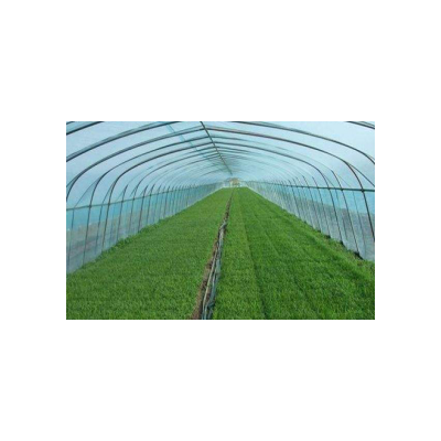 Agriculture